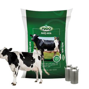 FUGO-Maxi-Milk